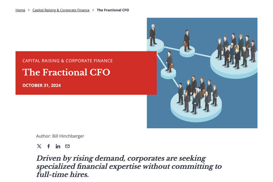 The Fractional CFO by Bill Hinchberger